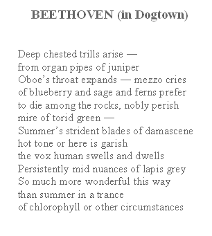 Soliloquy in Dogtown poem