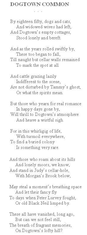 Dogtown Common poem