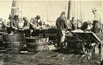 “Splittin’ er Trip” – Fish are unloaded and processed for market from several vessels docked at a wharf